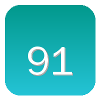 91